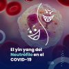 El yin yang del Neutrófilo en el COVID-19